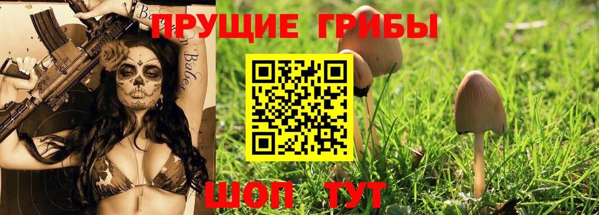 Галлюциногенные грибы Psilocybine cubensis Переславль-Залесский