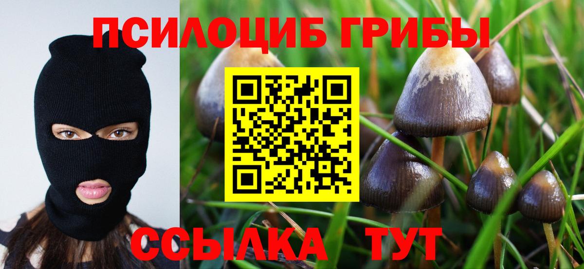 Псилоцибиновые грибы ЛСД  Вход с VPN  Переславль-Залесский 
